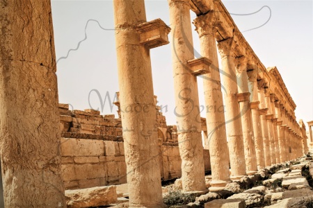 Головокружительная перспектива колоннады Пальмиры в Сирии