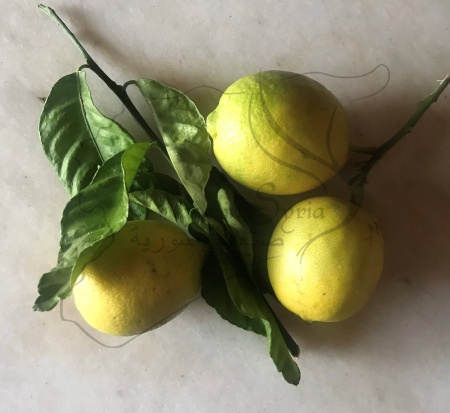 Лимонные лимонные листья и ломтики лимона любят оливки